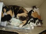     
: DSC00017.jpg
: 217
:	137.1 
ID:	1269432