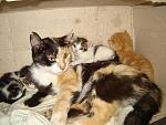     
: DSC00016.jpg
: 233
:	156.2 
ID:	1269436