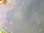     
: 20180509_150308.jpg
: 14
:	76.3 
ID:	12697057