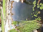     
: 20180509_150300.jpg
: 10
:	239.9 
ID:	12697058