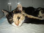     
: DSC00025.jpg
: 135
:	122.5 
ID:	1269730