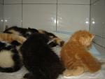     
: DSC00021.jpg
: 128
:	81.0 
ID:	1269741