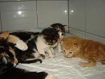     
: DSC00026.jpg
: 151
:	81.7 
ID:	1269743