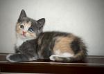     
: IMG-4c14112b63226a40fa328a92e3f83a19-V.jpg
: 11
:	134.5 
ID:	12698059