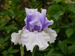     
: P1450359.jpg
: 17
:	74.1 
ID:	12698423