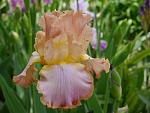     
: P1450485.jpg
: 18
:	92.2 
ID:	12698504