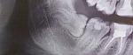     
: 9C42ADA6-052B-45C4-93B3-4431DF481129.jpeg
: 14
:	17.8 
ID:	12699948