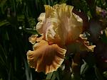     
: P1450657.jpg
: 17
:	89.6 
ID:	12700058