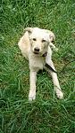     
: IMG-389b2591e495beac37dd1677c519ad33-V.jpg
: 10
:	136.9 
ID:	12701577