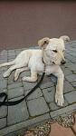     
: IMG-3c01efa475516b48fb1b5917da009689-V.jpg
: 6
:	79.9 
ID:	12701578