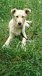     
: IMG-2c3844057af811eaa0674a82771e535a-V.jpg
: 16
:	140.9 
ID:	12701583