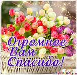     
: images.jpeg
: 13
:	21.5 
ID:	12701650