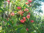     
: 101_2357.jpg
: 8
:	231.7 
ID:	12702318