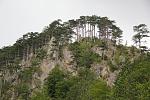     
: IMG_8110.jpg
: 15
:	185.8 
ID:	12702488