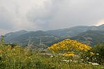     
: IMG_8084.jpg
: 17
:	136.4 
ID:	12702489