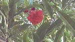     
: IMAG0173.jpg
: 20
:	83.4 
ID:	12705283