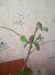    
: P80515-153029.jpg
: 26
:	72.9 
ID:	12706307