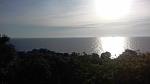     
: 20180516_065436.jpg
: 25
:	67.2 
ID:	12706936