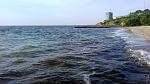     
: 20180516_064606.jpg
: 26
:	139.9 
ID:	12706938