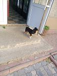     
: P80516-181144.jpg
: 23
:	105.7 
ID:	12708178