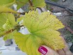     
: DSC_0310.jpg
: 29
:	129.9 
ID:	12708301