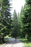     
: IMG_8503.jpg
: 15
:	162.5 
ID:	12709548