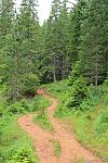     
: IMG_8732.jpg
: 17
:	175.5 
ID:	12709558