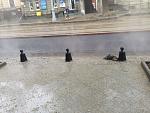     
: IMG_7273.jpg
: 22
:	157.6 
ID:	12709880