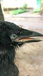    
: 8DD67A87-3E55-47A9-8183-8367849AE465.jpg
: 88
:	33.3 
ID:	12712197
