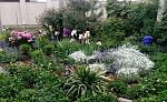     
: IMG_20180517_205156.jpg
: 14
:	301.2 
ID:	12713397