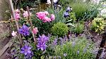     
: IMG_20180517_120807.jpg
: 12
:	274.0 
ID:	12713415