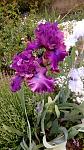     
: IMG_20180517_105554.jpg
: 13
:	142.5 
ID:	12713422