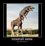     
: 1127442877.jpg
: 58
:	41.3 
ID:	1271377