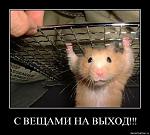     
: 1264851055_2.jpg
: 59
:	48.7 
ID:	1271378