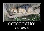     
: 1264632637_5.jpg
: 67
:	36.1 
ID:	1271379