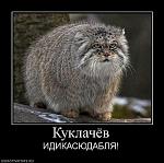     
: 1264632647_12.jpg
: 70
:	55.9 
ID:	1271381