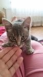     
: 20180521_135116.jpg
: 11
:	52.0 
ID:	12714637