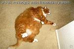     
: 1255552106_6d6be7a6f196.jpg
: 67
:	46.7 
ID:	1272071