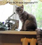     
: 1255552127_7a170c083d80.jpg
: 63
:	49.5 
ID:	1272074