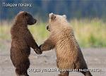     
: 1255552224_b39f1fd23b23.jpg
: 70
:	36.9 
ID:	1272083