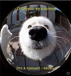     
: 1255552134_373e00025c95.jpg
: 72
:	47.1 
ID:	1272085