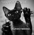     
: 1255552187_ff74499e0cda.jpg
: 60
:	50.0 
ID:	1272088