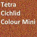     
: Tetra Cichlid Colour Mini.jpg
: 40
:	80.7 
ID:	12721777