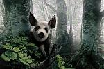     
: image.jpg
: 32
:	65.4 
ID:	127230