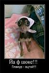     
: 115955ac30be7ec_3fb4ad7bcd00.jpg
: 83
:	36.5 
ID:	1272306