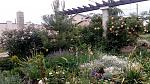     
: IMG_20180526_175023.jpg
: 10
:	241.0 
ID:	12723759