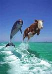     
: IMG-77059dedfaea17b3dd97027e111f87d4-V.jpg
: 74
:	61.1 
ID:	12726788
