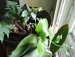     
: IMG_20180430_190018.jpg
: 25
:	134.7 
ID:	12729683