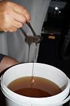     
: DSC06189.JPG
: 6
:	176.1 
ID:	12731674