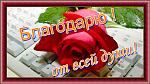     
: maxresdefault.jpg
: 19
:	197.8 
ID:	12732005